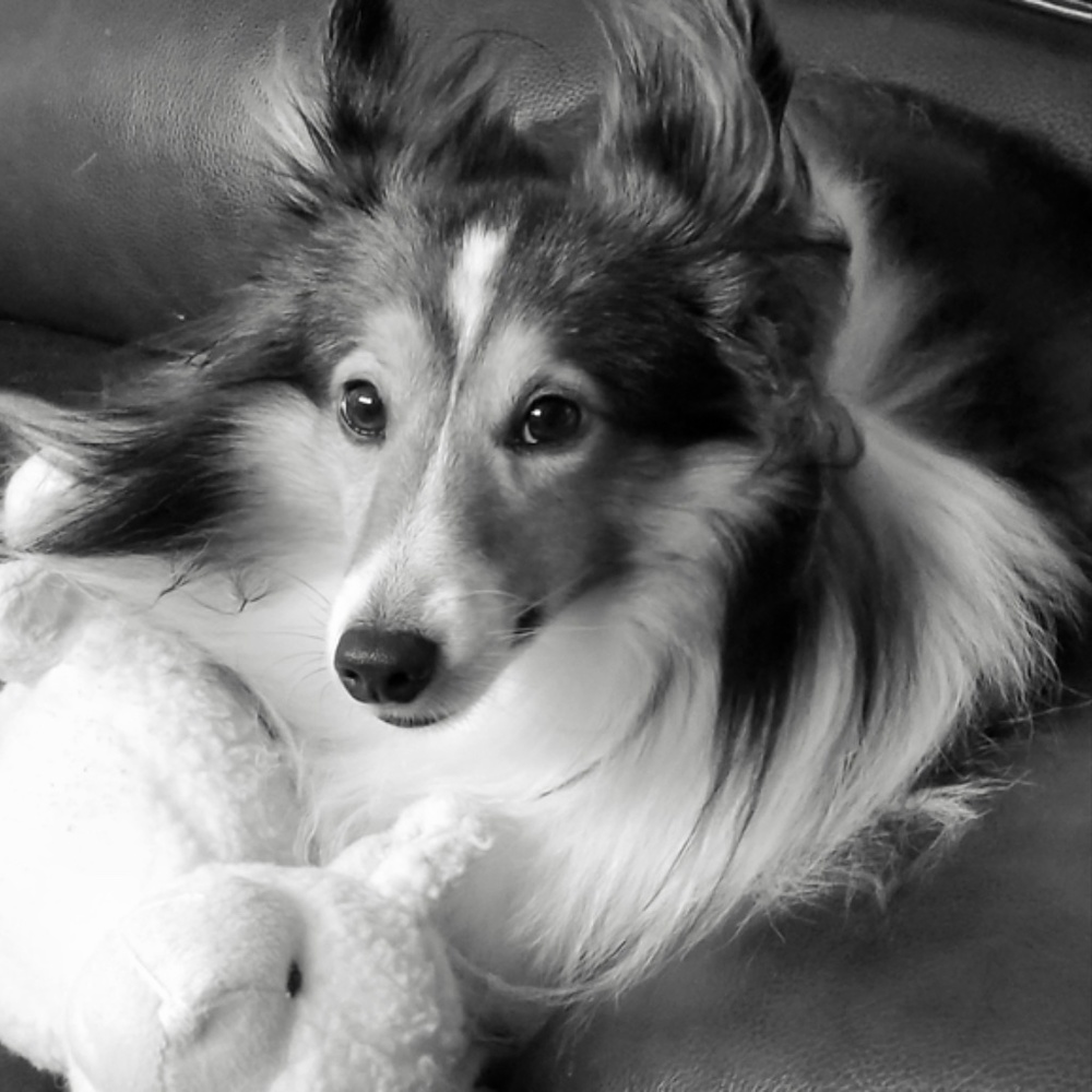 I finally said YES! Never too old to start new 🤗 xoxo - Picture 8 of 10